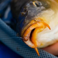 Fjuka Natural 2in1 200gram 7 Fjuka Natural 2in1 200gram -Aanbiedingen Hengel Gear Winkel 173e3a2163a6a35f