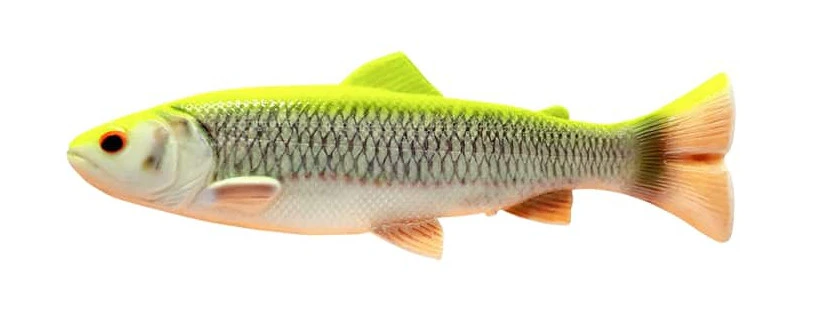 Savage Gear 4D Line Thru Pulsetail Trout Slow Sinking Lemon Chub 25cm (202g) 2 Savage Gear 4D Line Thru Pulsetail Trout Slow Sinking Lemon Chub 25cm (202g) - Afbeelding 2