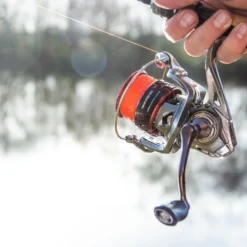 Ultimate Chikara Spider 2500