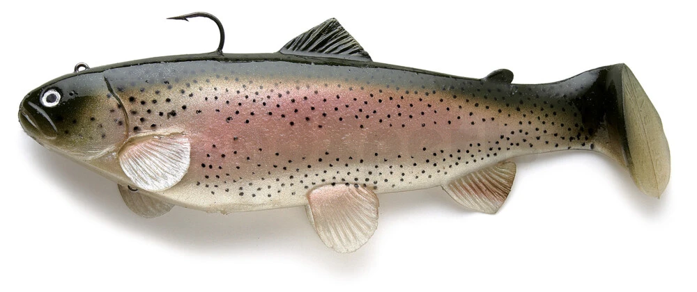 Castaic Swimbait Trout Sinking Rainbow Trout 15cm 1 Castaic Swimbait Trout Sinking Rainbow Trout 15cm