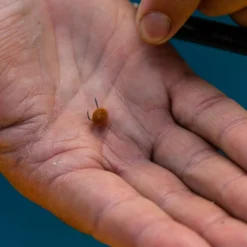 Fjuka Natural 2in1 200gram 9 Fjuka Natural 2in1 200gram -Aanbiedingen Hengel Gear Winkel d63055fda4442628