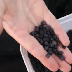 Fjuka 2in1 10mm Black -Aanbiedingen Hengel Gear Winkel f97c9debf3824049